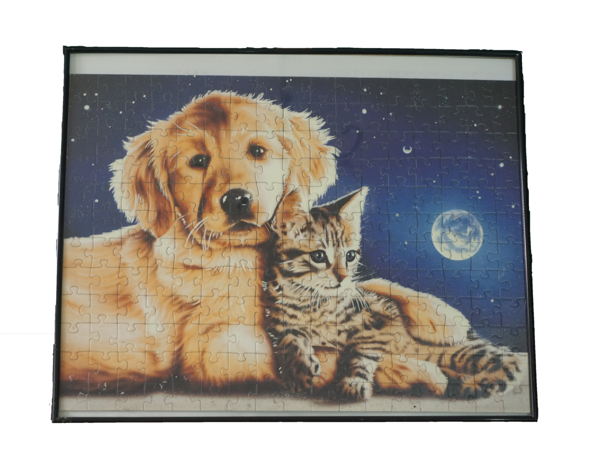 Puzzle kép (204 darabos, kerettel, üveg borítással), dekoráció, képek, yupie