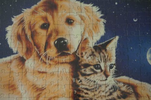 Puzzle kép (204 darabos, kerettel, üveg borítással), dekoráció, képek, yupie