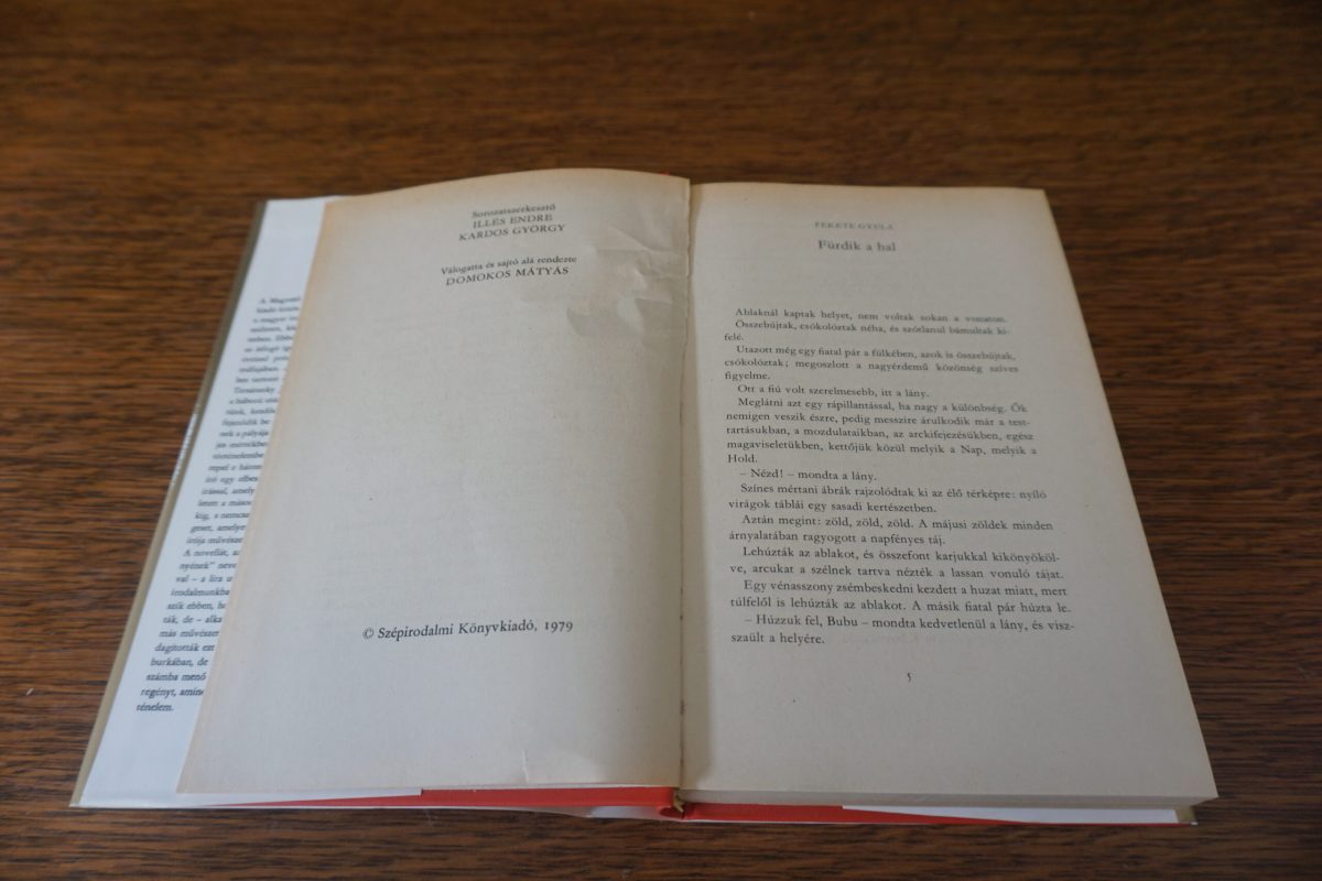 Százegy elbeszélés 1945-1975 (harmadik kötet), könyvek, yupie