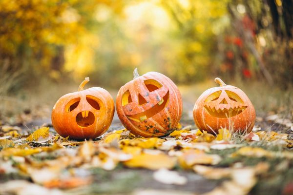Halloween Bűbájának Bűvöletében: Varázslatos Ősz, dekoráció, gyertyák, gyertyatartók, yupie Halloween Bűbájának Bűvöletében: Varázslatos Ősz, dekoráció, gyertyák, gyertyatartók, yupie